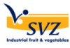 svz_logo